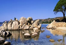 关于国际比赛日CBA季后赛传出新动向；上海申花复出首秀；管理层表态：气氛紧张；资深球员宣示担当的信息九游